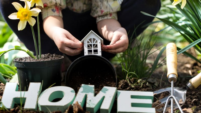 How to Design a Landscape That Combines Beauty and Function